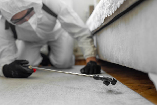 Professional Bed Bug Control technician working in Akwesasne, NY