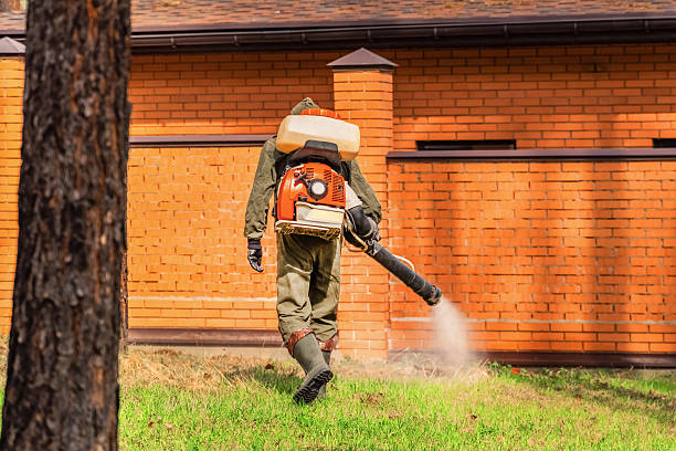 Trusted Rodent Control service in Akwesasne, NY - Nex Pest Control